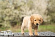 5de1dcd2cd6f8e8a1801938454cd03fa_195x130_fill