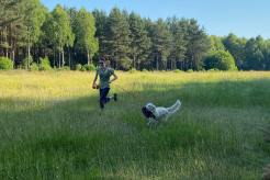 5e26873fa77dcd9a7e7b0fa33dda9ddb_246