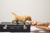 5e27e29ebac9109c6d26be07b9c15aa8_195x130_fill