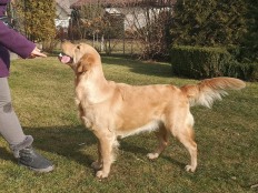 5e5959493fd0084348f13e2046c245db_232x174_fill