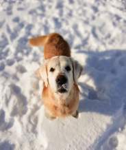 5e625f4466869e7ebd297a2001250ab2_184x218