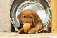 5e9f754f3c1d77d4934315f8d275f78c_195x130_fill