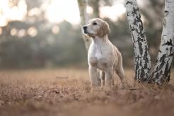 5ead6c3fa7f36433816043ec5907b651_246x164_fill