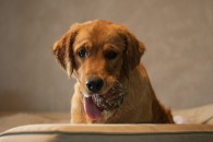 5ebc2c8078f671113177691e77674945_195