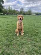 5ed5f5737943d7aa43ab996e13b4ef1c_138x184_fill