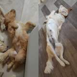 5f28ab6a91a8a366704d5db7c8fc6562_160x160_fill