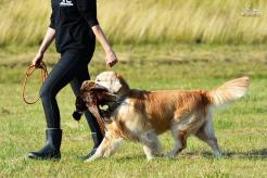 5f4bdd50549065d56c92d8d11d6e86f4_246