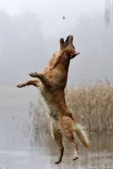 5f6f604784d6d2fcc6e2f22cd8c2e57b_164x245