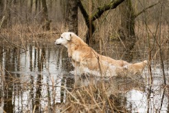 5f7cc74d26f1701bf0ccc2b1cc2dc54b_246