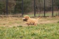 5fc69a5cad4b78dd4f5eec5ca7ba38ee_195x130_fill