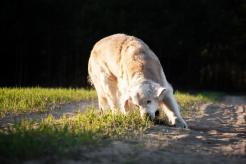 5fdd1bc1f47593479e5b63c7f016d6fc_246x164_fill