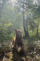 5ff5735c64abe8910761ddd1c9e559aa_128x197