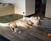 6007ef43cfae97ff71eb1f56b43c5bb8_178