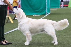 602432292e8016df95bd025adbd30f77_246