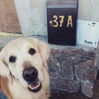 602c517ca74644a7ef8de5adbd2676cf_200x200_fill