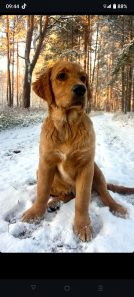 6035e3b8026e0da1fd166de652a52033_134x297