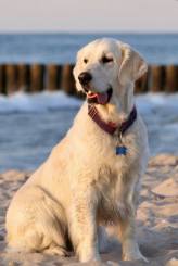 604acda2e413da2e350f0226ee602ee8_164x245