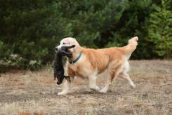 606f66edba7e020009276a0f138f7633_245