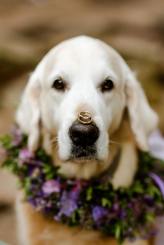 609f613cab6a6e51a8b9c9fa146e9842_164x245