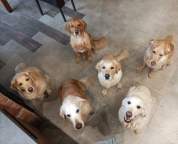 60b267282cfe30de6edd612cd8b81eef_178