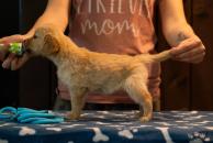 60d00bfc5405a0e98d859176435b16f5_194