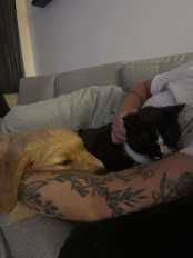 60edff0712191cebba2cbb6586f9e43a_174x232_fill