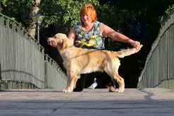 60f09b3dadd002fe7d79fe12a5d6a798_246