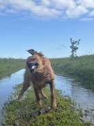 6141d452c54738f4f4be44bdf3111093_138x184_fill