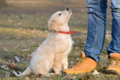 6146314c9f4675be61bef5657e64daa9_245