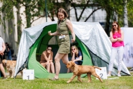 61a70bba333d71644f936394af3b1a6d_195