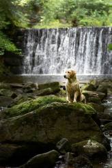 61ad338edc697a67e73667ac4a9c7f36_164x246