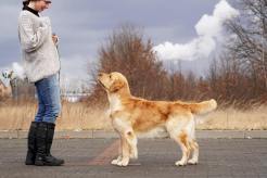 61b1838c1963524d1c3530f8d6d3bc5f_246x164_fill