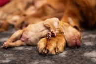 61cb1251c081dde4165aab38ed0d1a4a_195x130_fill