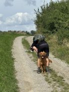 620d16e981503fcb3b16f829779e102d_138x184_fill