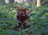 627e56fdd937b3e2dfe63abf0ab9bb9f_185