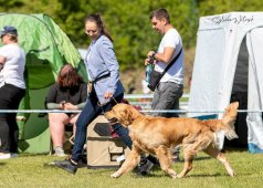 62db1b20d63f3035b7ecbb1801fdc982_238