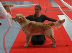 62dd4edf33380ad2f16908bb1117125b_231