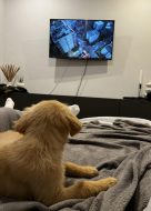 631153be1d3983c2ce46c785738fba66_136x190