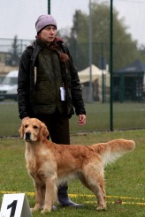 63179681f9155976bc7b65cc47a49d45_164x246