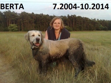 631cde91edb580caf5bcbf98e9568161_461