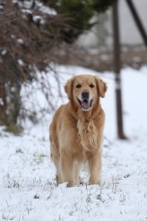 632d91b552acccaf0d3d6ddfb2978de5_164x246