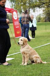 633481f233fd6a0f3012fb6df361097f_164x246_fill