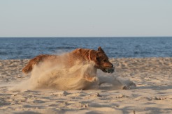 634920f969661b8eb73608db5066e01e_246