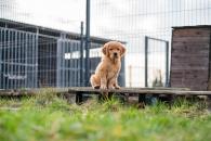 635ec3be55b621fc7eca4f6f760c3938_195x130_fill