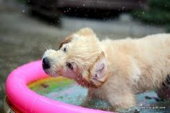 63918d070fae65691fba0e3e8ae11031_245