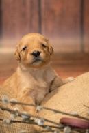 63c96c9ef7bef77ac9490c441af5a6ed_130x195_fill