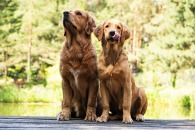 6414178a42ee715b105483b769b60bec_195