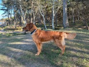 6415e3be860850ee046611a0671d92b3_183