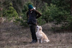 645bc7fe2018fdba737e461a09beb118_246