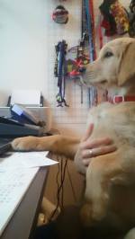 64d66033117bf3a93954c43cfd4dd854_150x266